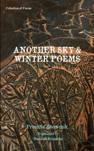 ANOTHER SKY-and WINTER-POEMS-FRONT-COVER-scaled